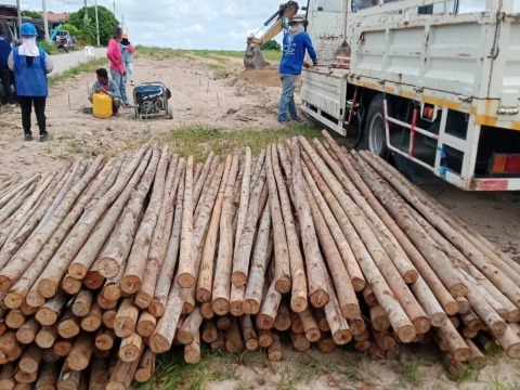 ขายไม้ก่อสร้าง